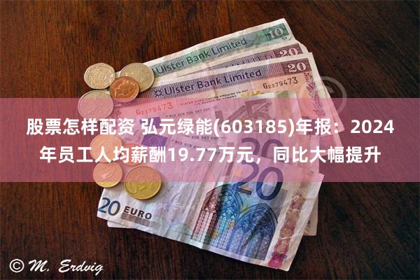 股票怎样配资 弘元绿能(603185)年报：2024年员工人均薪酬19.77万元，同比大幅提升
